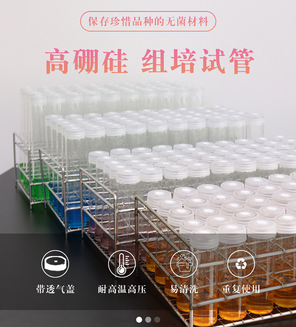 1662364600973781.jpg 組培試管_01.jpg