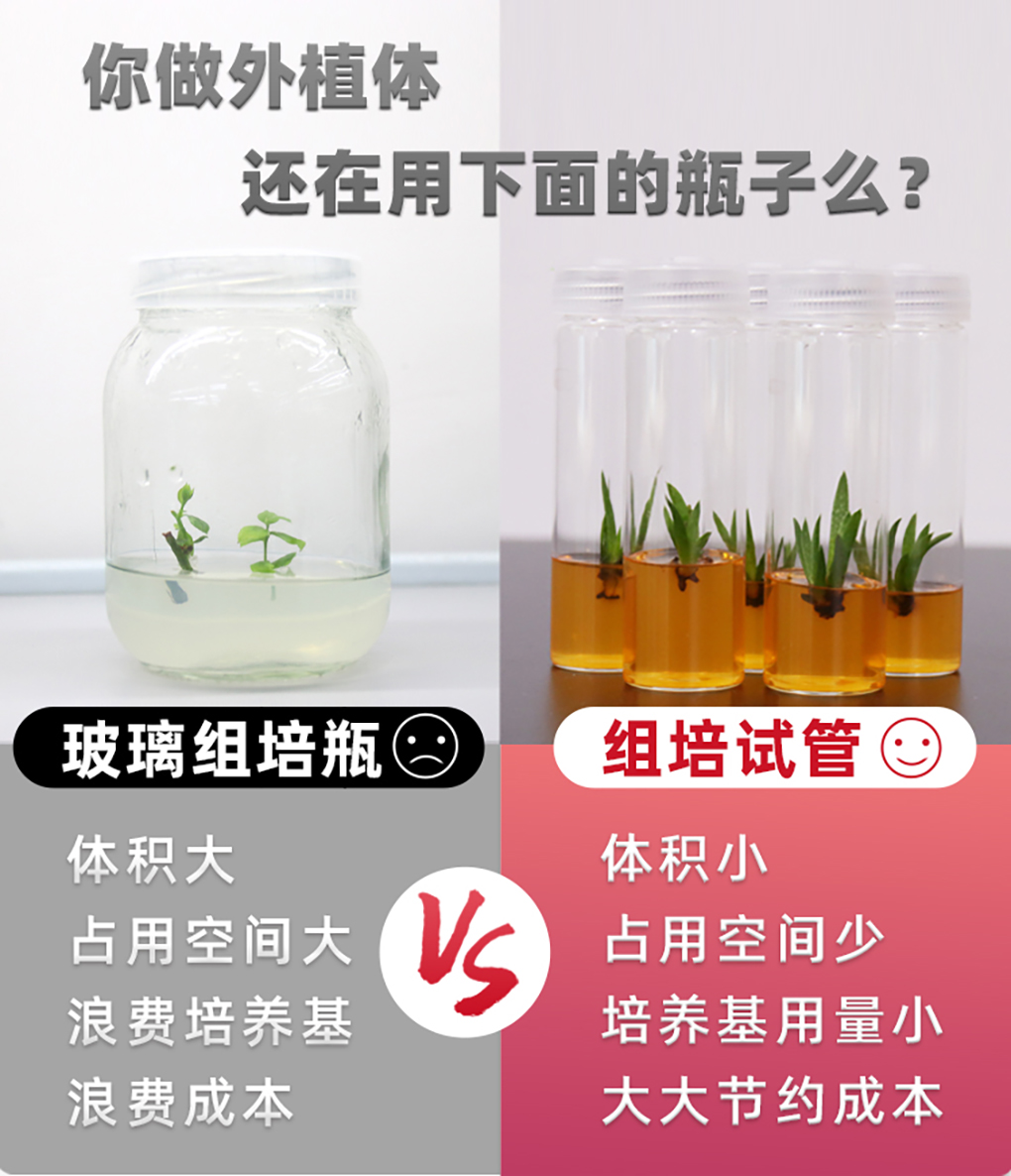 1662364602115732.jpg 組培試管_02.jpg