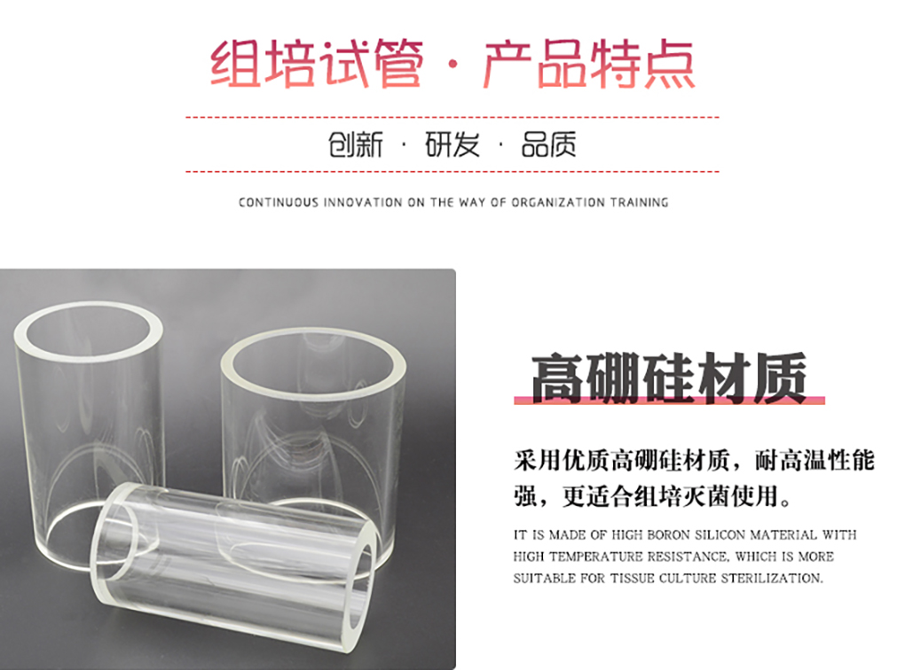 1662364615113894.jpg 組培試管_07.jpg