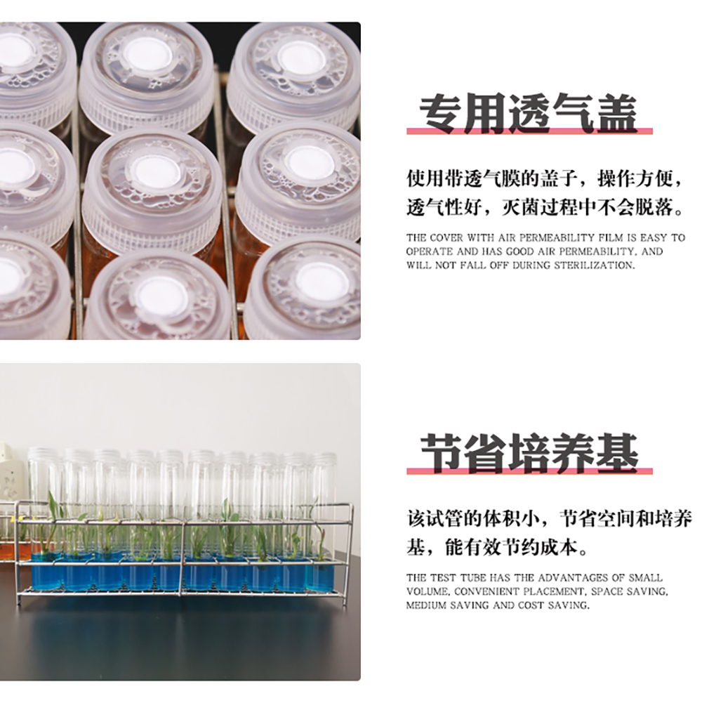 1662364620171825.jpg 組培試管_08.jpg