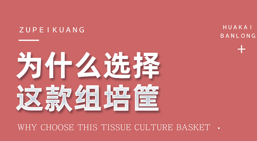 1662364726239717.jpg 組培筐04.jpg