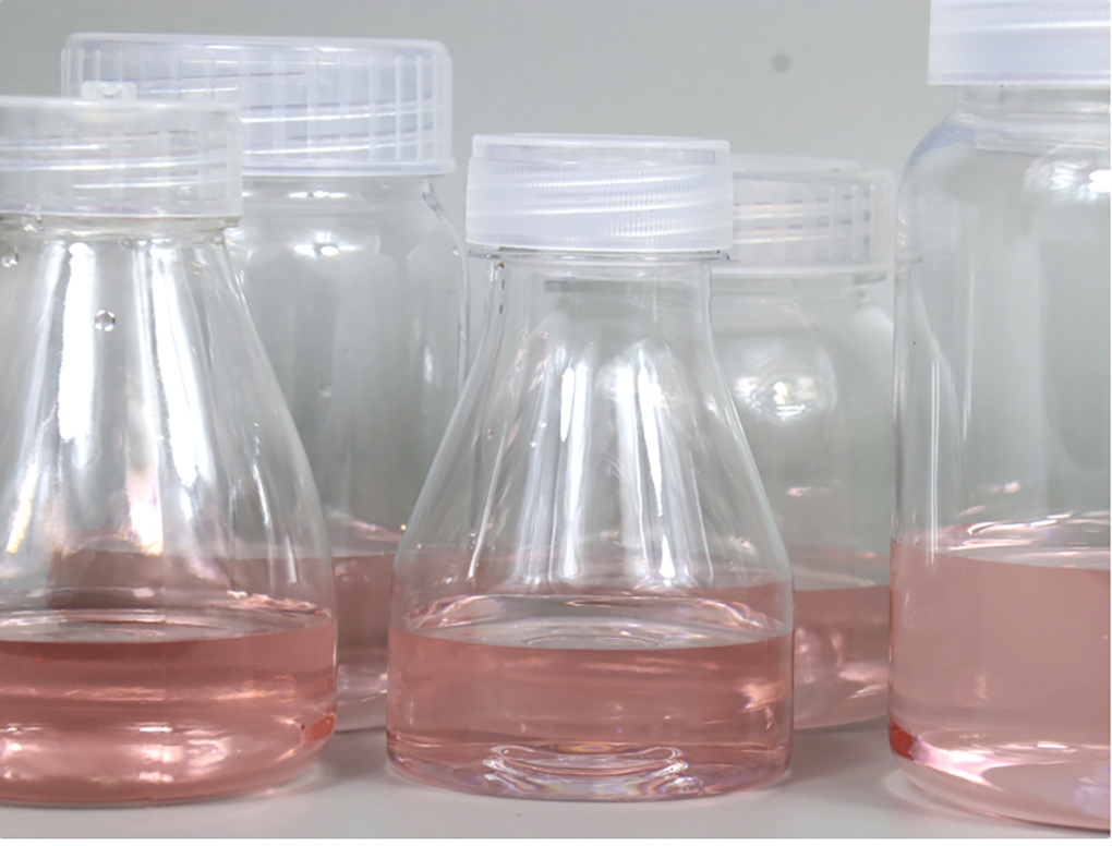 1662366020163052.jpg 塑料組培瓶_11.jpg