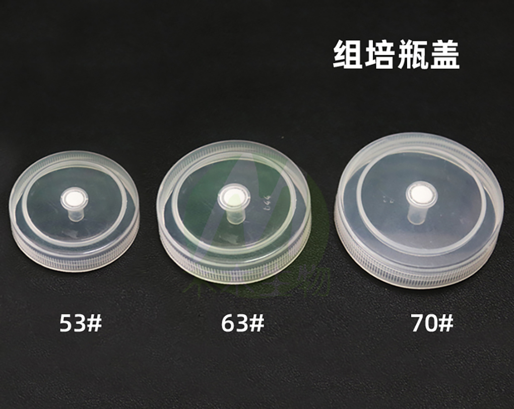 1662366619191569.jpg 各種玻璃瓶_09.jpg