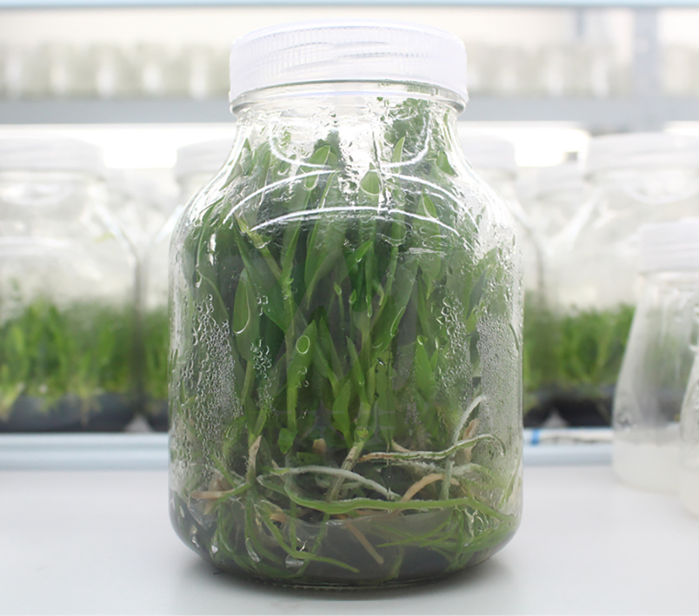 1662366628491091.jpg 各種玻璃瓶_13.jpg