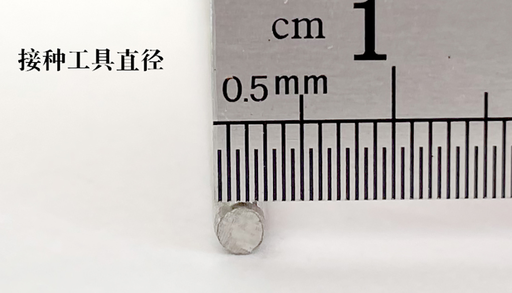 接種工具_05.jpg