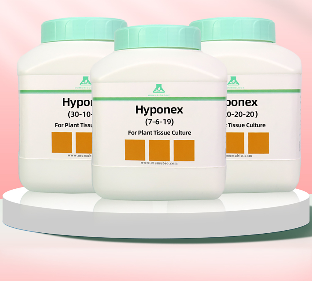 1662516605906247.jpg 花寶詳情頁(yè)_02.jpg