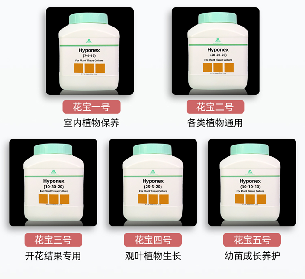 1662516611487207.jpg 花寶詳情頁(yè)_05.jpg