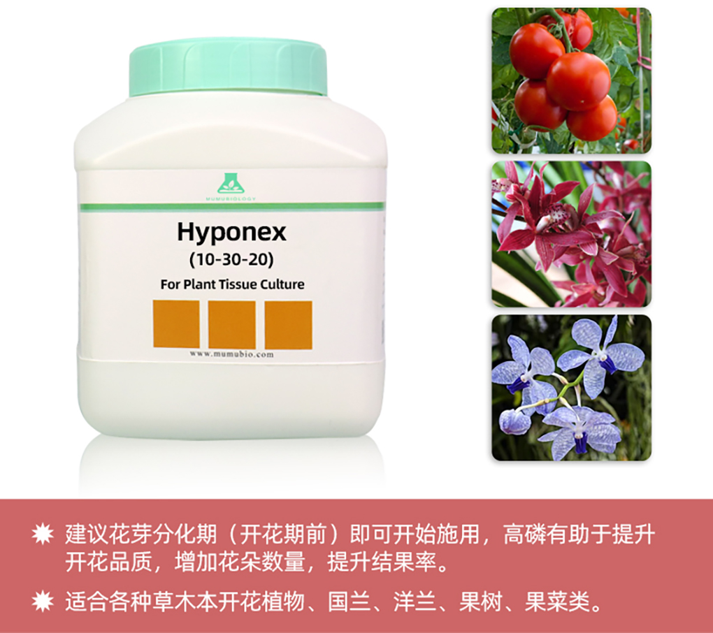 1662516623101642.jpg 花寶詳情頁(yè)_11.jpg