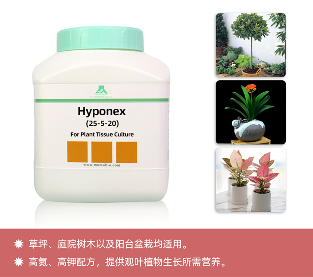 1662516627881668.jpg 花寶詳情頁(yè)_13.jpg