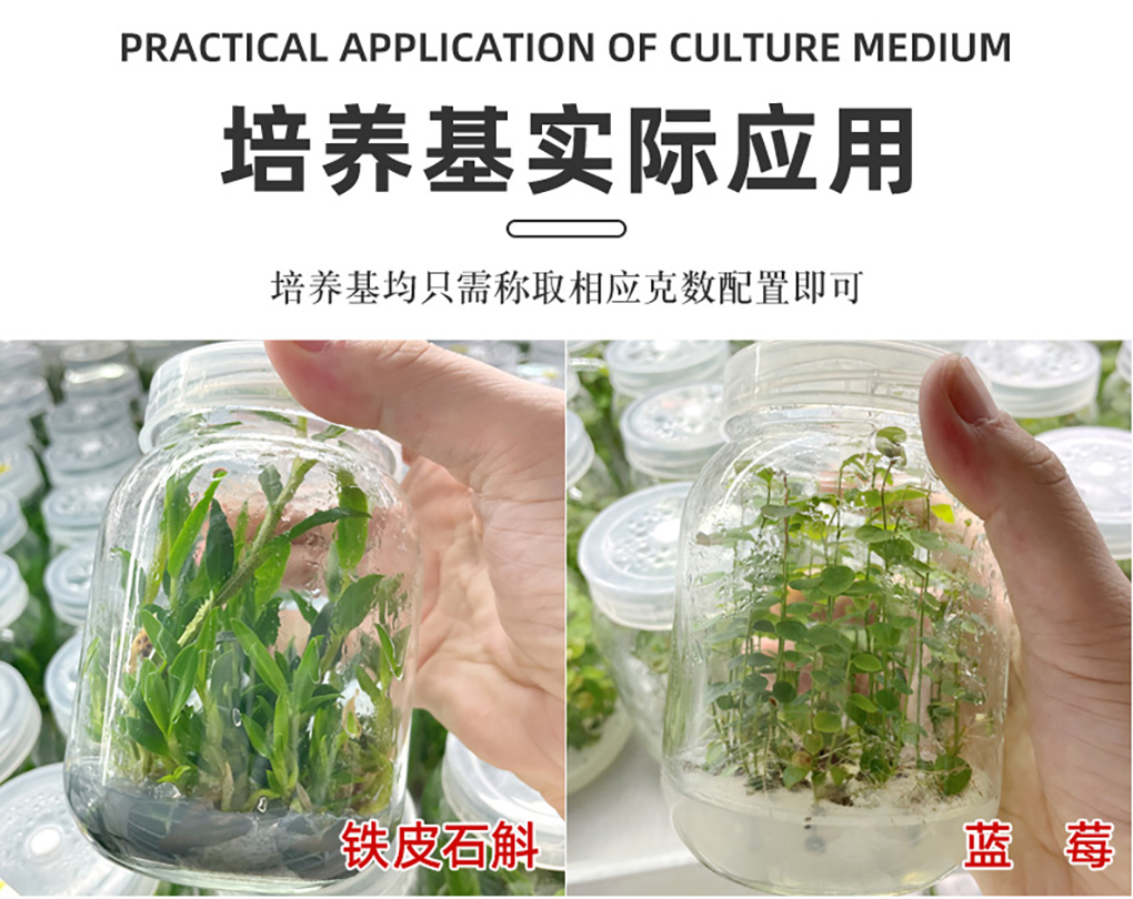 培養基詳情頁(yè)_13.jpg