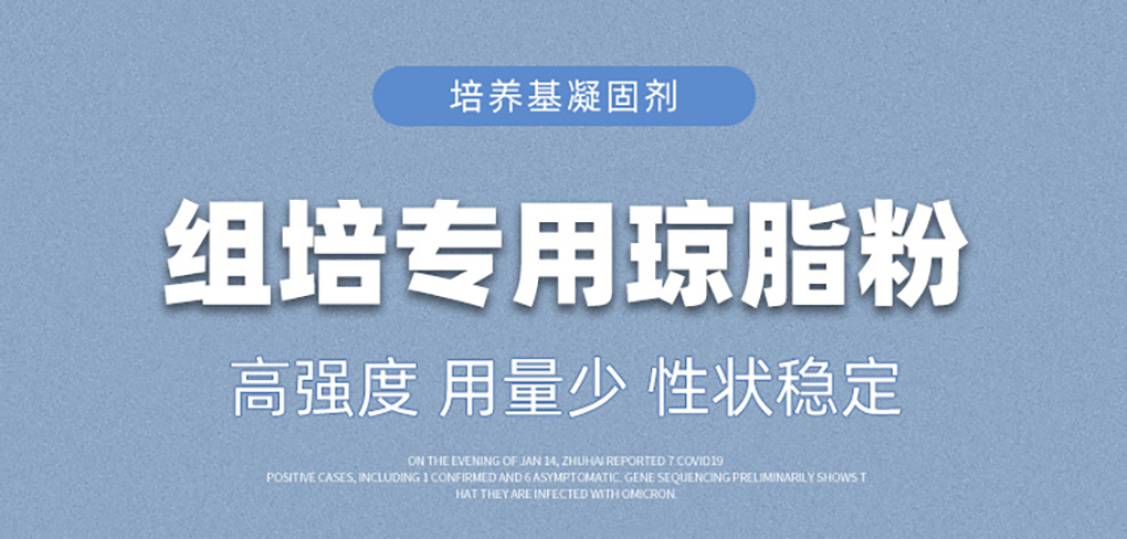 1662529575120219.jpg 瓊脂粉_01.jpg