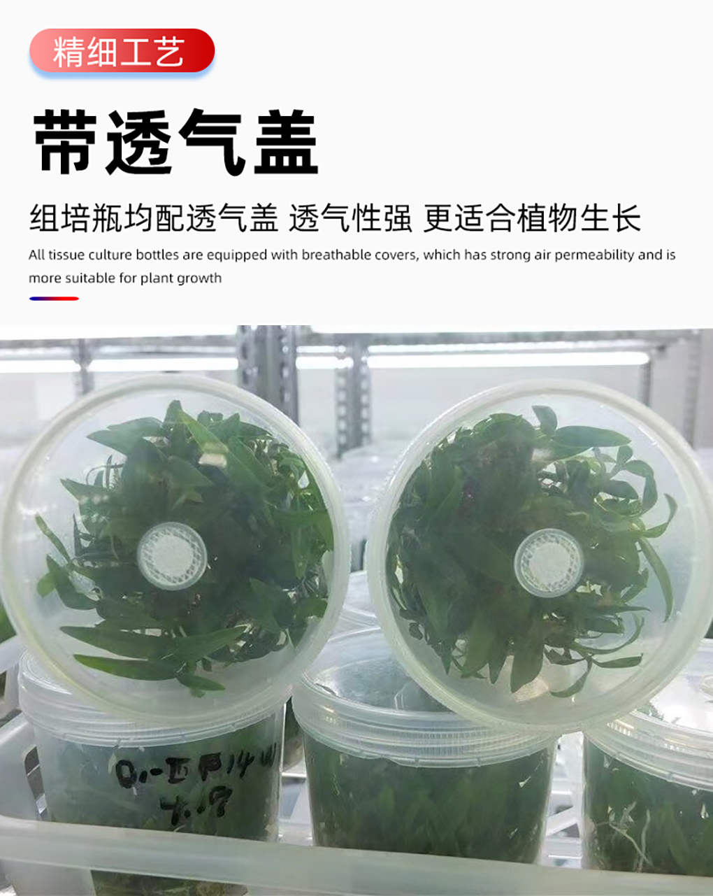 1670401877550505.jpg PP組培瓶_08.jpg