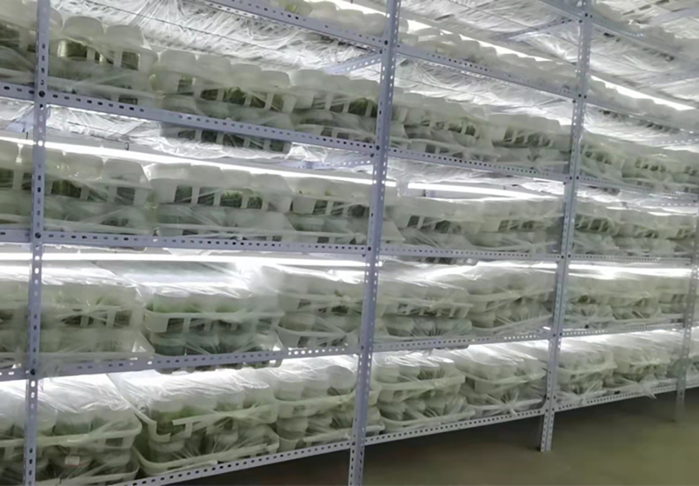 1670401889141575.jpg PP組培瓶_14.jpg