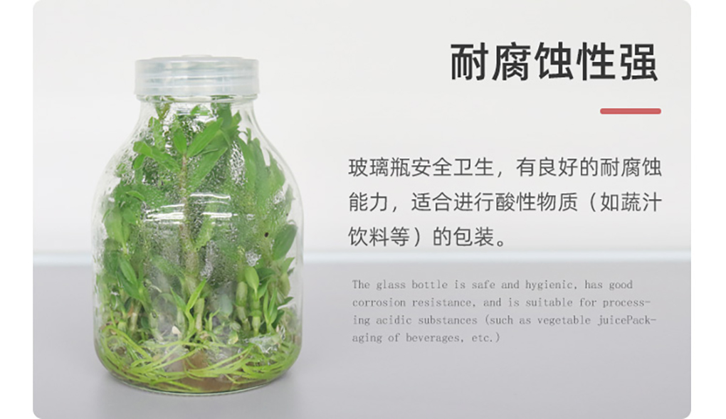 1670568807862989.jpg 玻璃組培瓶_06.jpg