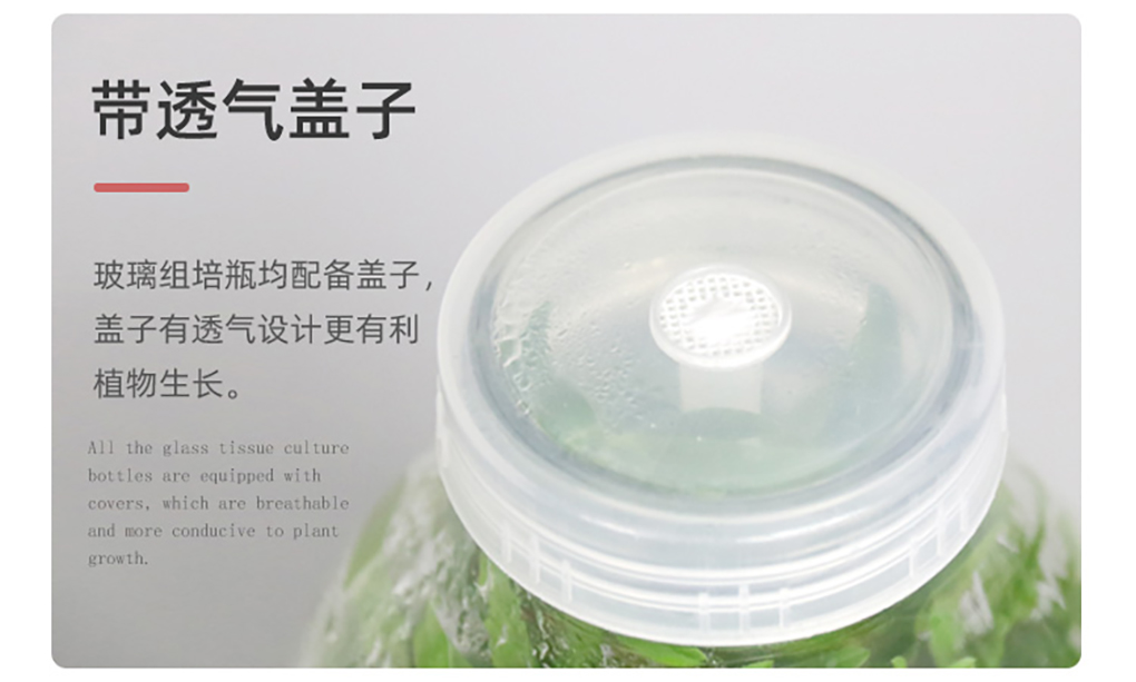 1670568809168664.jpg 玻璃組培瓶_07.jpg