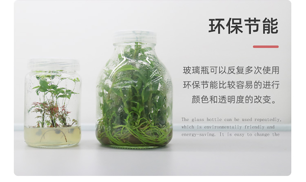 1670568812151687.jpg 玻璃組培瓶_08.jpg