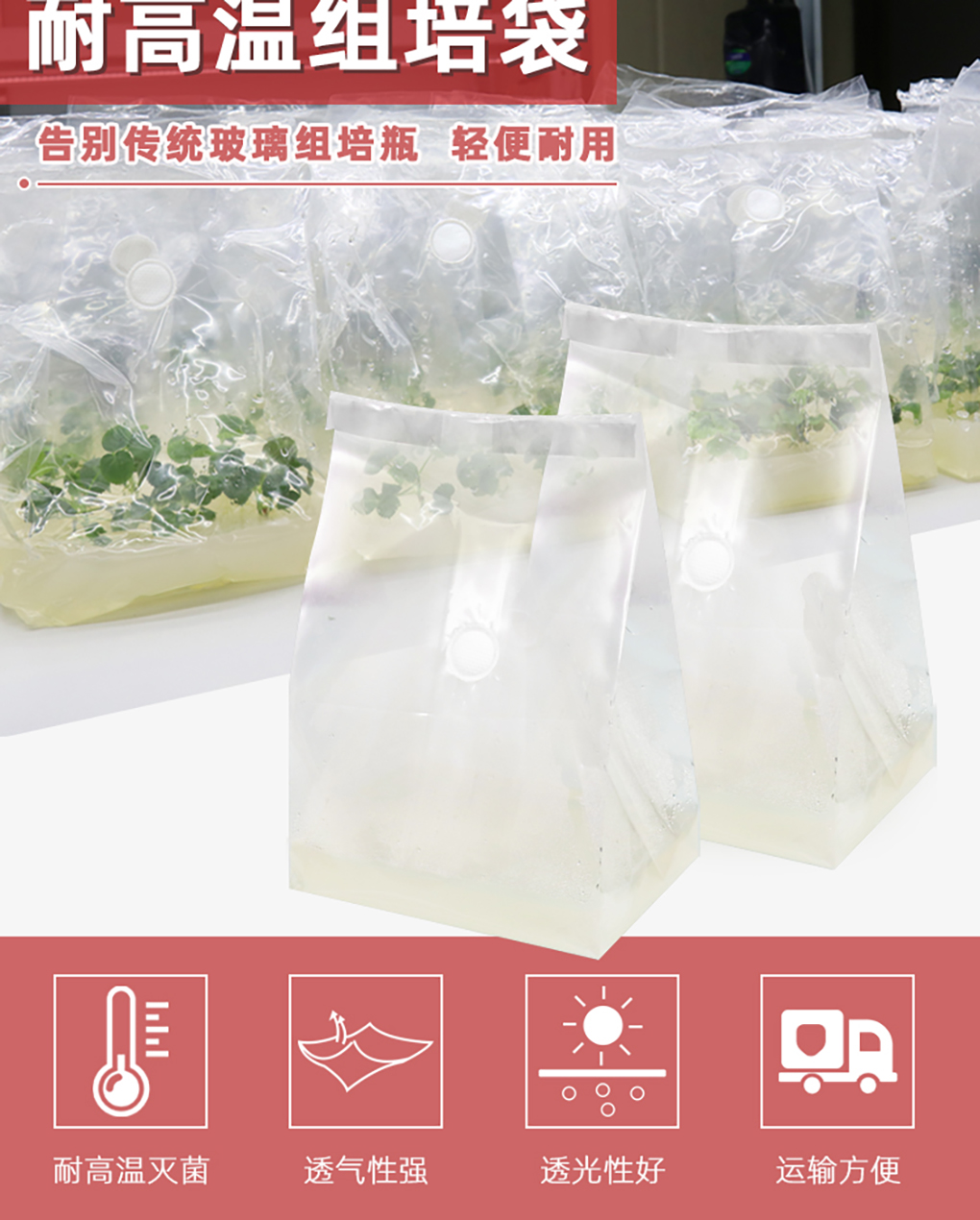 1670573100187287.jpg 組培袋_02.jpg