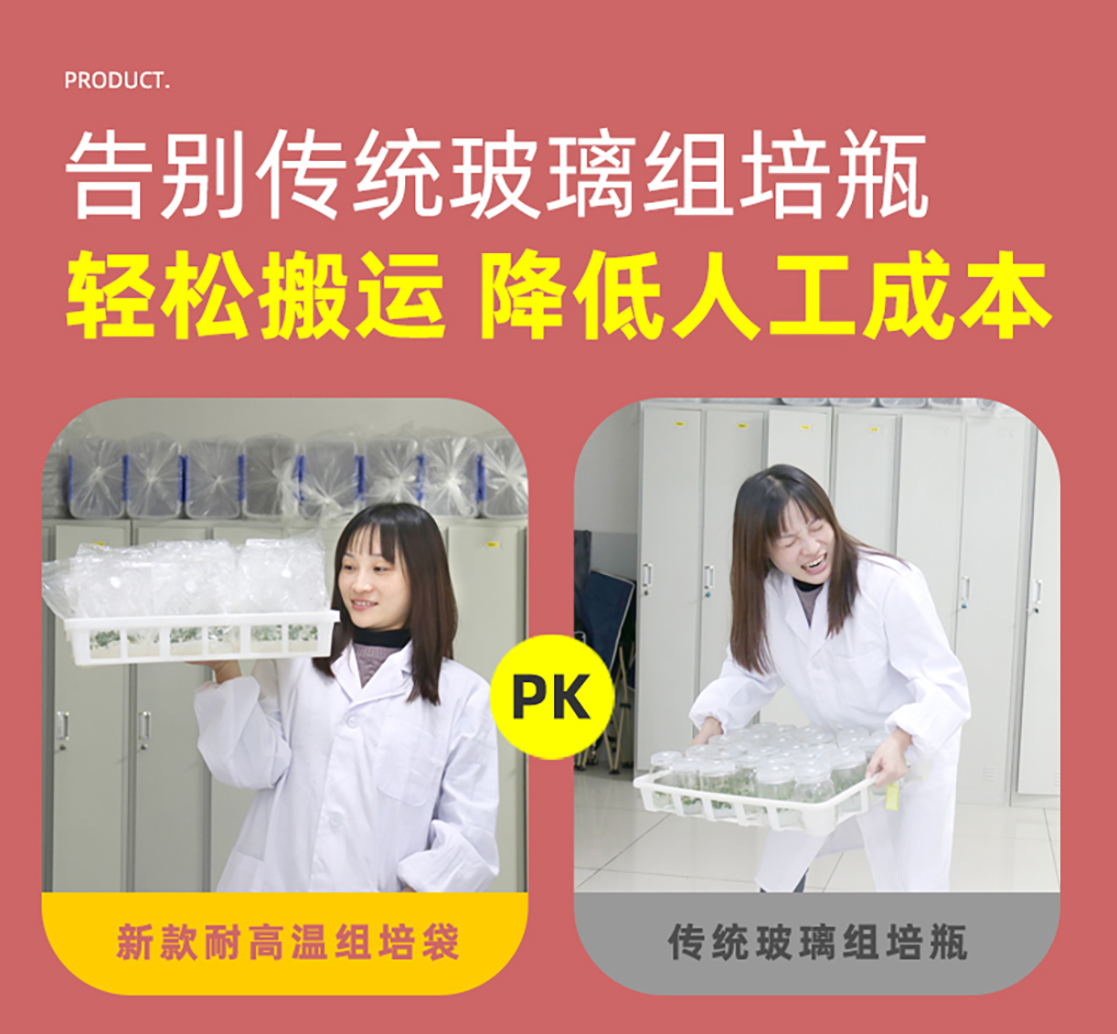 1670573106141700.jpg 組培袋_05.jpg