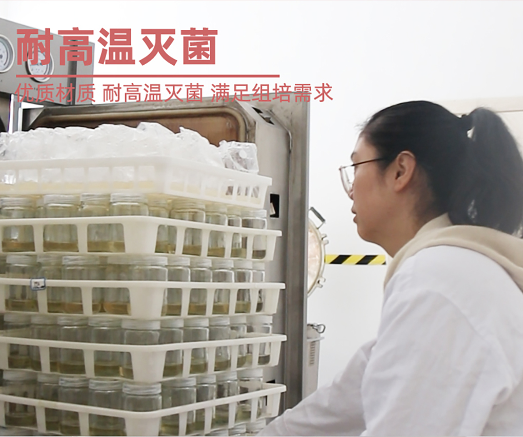 1670573110112361.jpg 組培袋_07.jpg