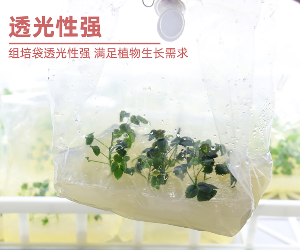 1670573114244533.jpg 組培袋_09.jpg
