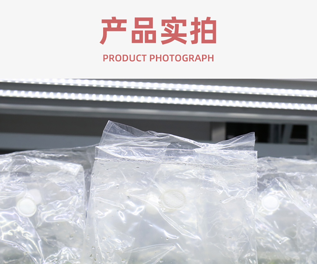 1670573118285296.jpg 組培袋_11.jpg